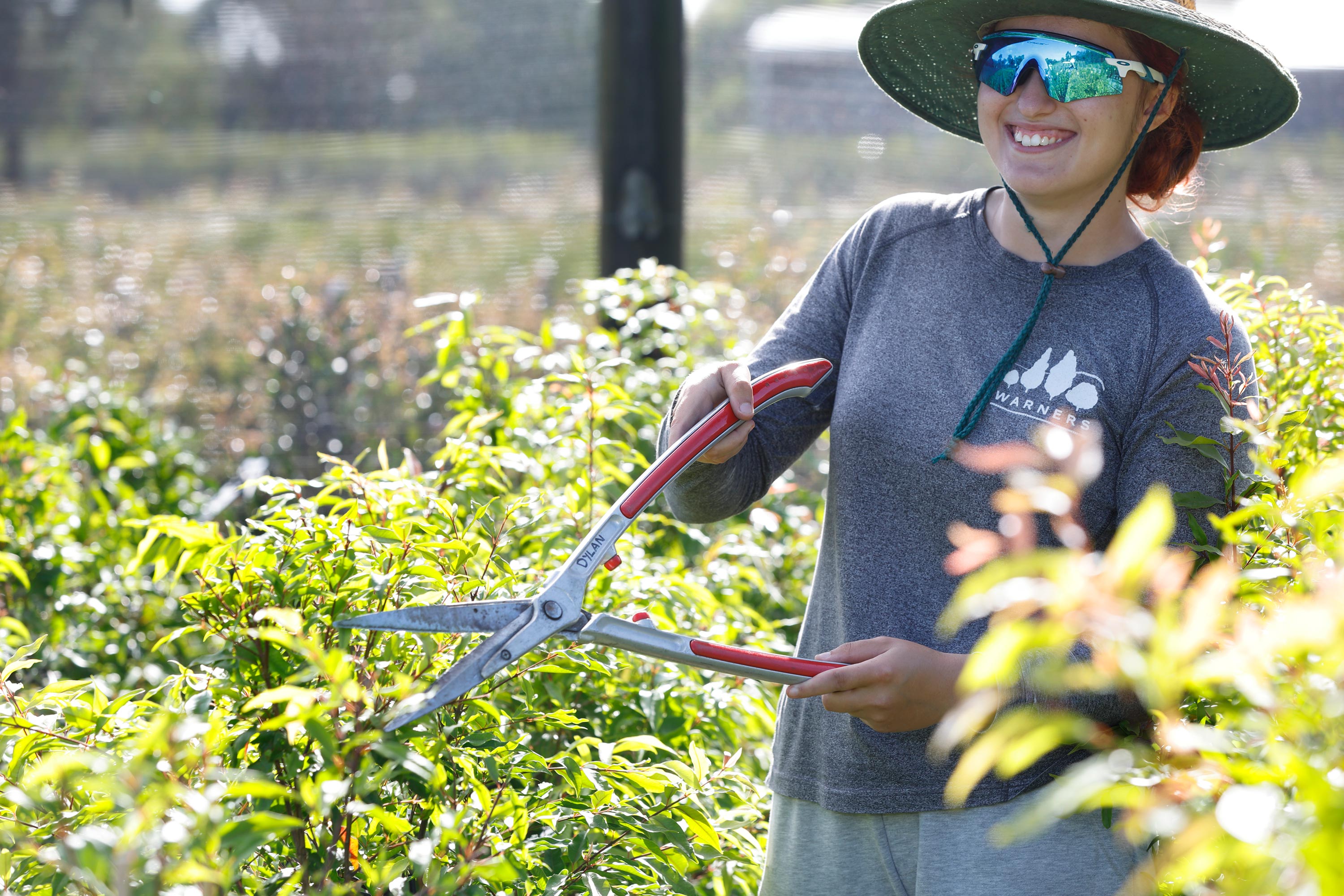 Pruning shears in use by smiling woman