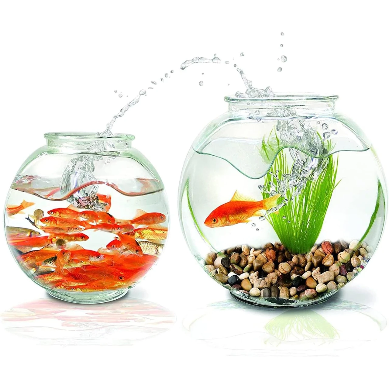 Gold Fish Bowls